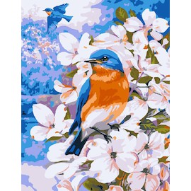 Картина по номерам на холсте «Весенние птички» CX3160 (20х30)